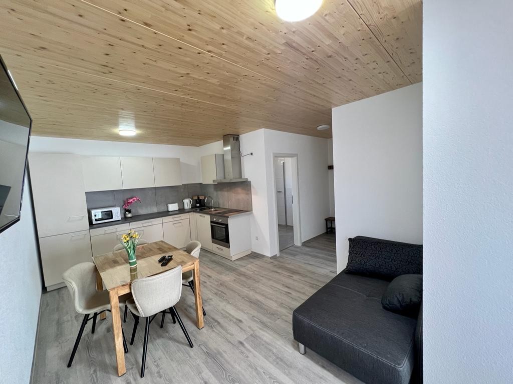 Monteurwohnung 2 Zimmer Wohnung direkt an der Schweizer Grenze Alexandra 78244 Gottmadingen-Bietingen 1686730984648978e8740d2