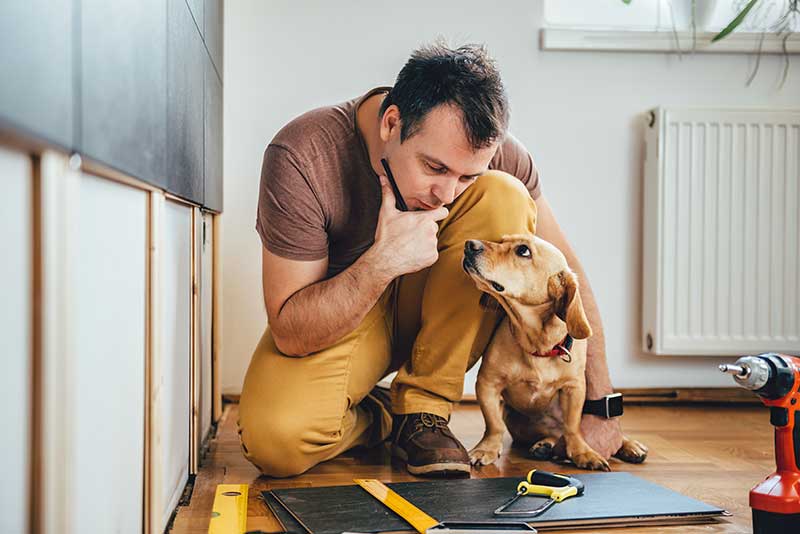 Aufenthalt von Haustieren im Monteurzimmer oder der Ferienwohnung Hund Handwerker