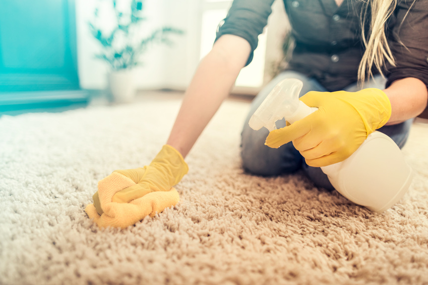 Das Übergabeprotokoll Reinigung Teppich Mangel in der Wohnung